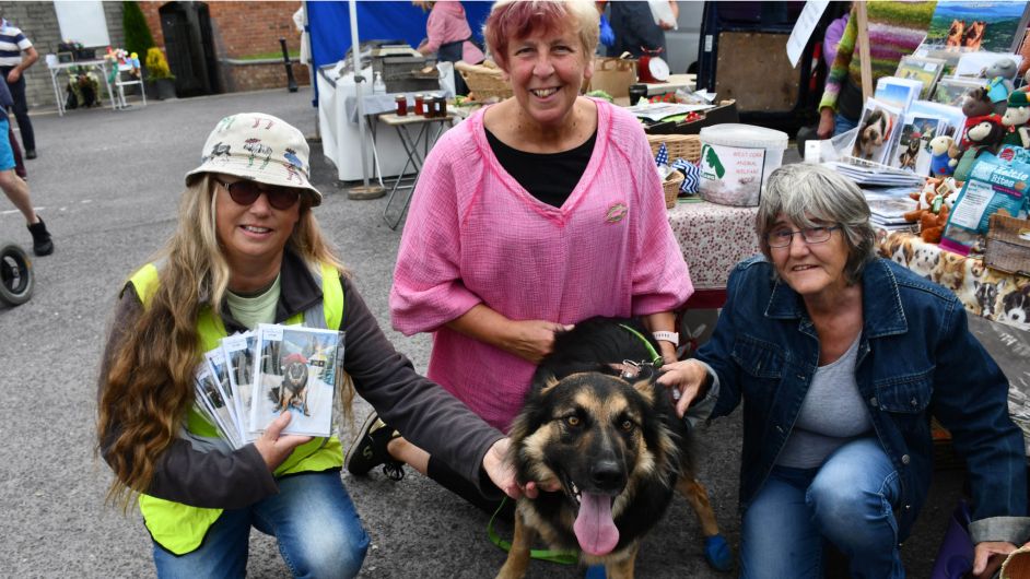 ‘Miracle’ dog Seamus makes guest appearance at market Image