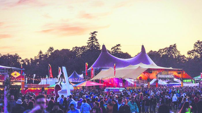 Tasty mix served up at Electric Picnic Image