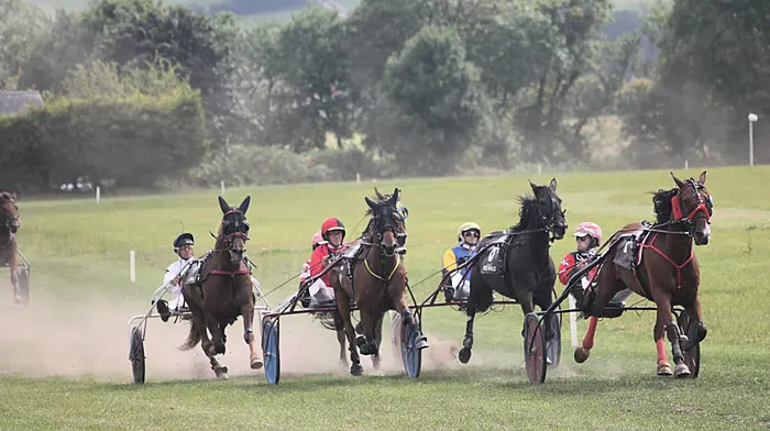 Evenwood Sonofagun smashes course record at Red John meet Image