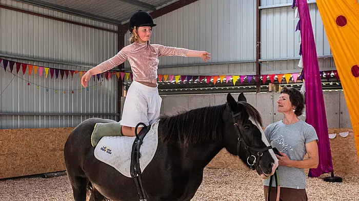 Hairy Henry is the ‘mane’ attraction at therapeutic riding centre’s new barn Image