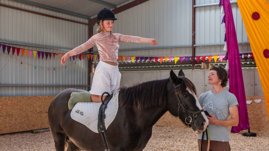 Hairy Henry is the ‘mane’ attraction at therapeutic riding centre’s new barn Image