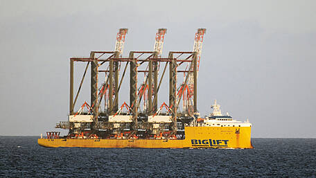 Local links to giant US-bound cranes Image