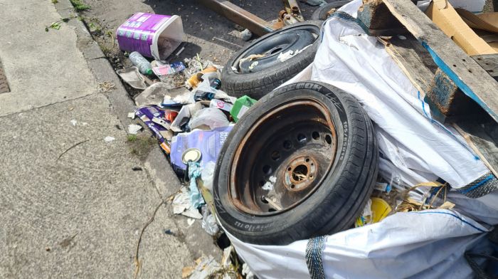 Council seeking ‘long-term solution’ to littering near popular walkway Image