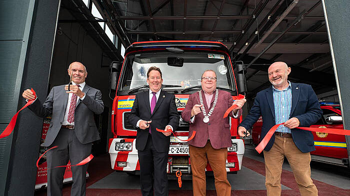 Panels and pollinators at Macroom fire station Image