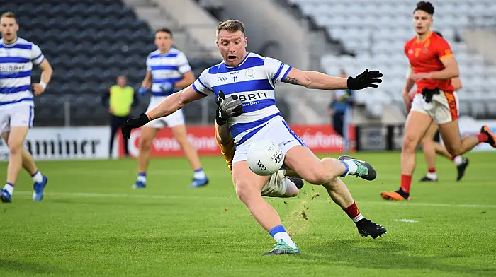 ‘Haven set up Barrs trilogy despite Cahalane red card Image