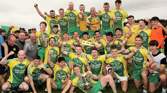 Check out the seedings for Carbery junior football and hurling championships 2023 Image