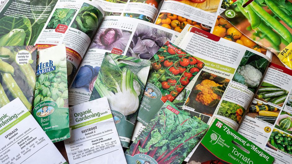 GARDENING: Start planning for the year ahead Image