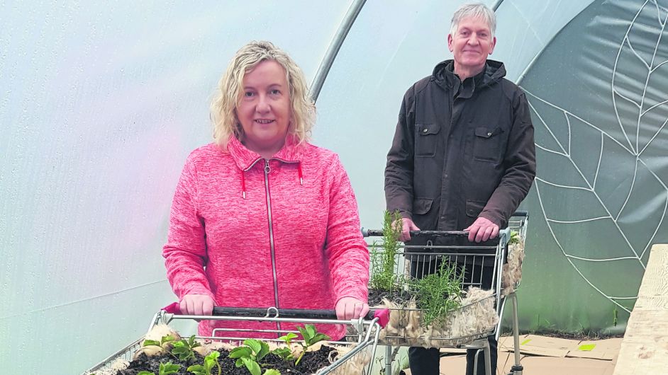 Wishes do come true – as coins pooled to make Bantry garden Image