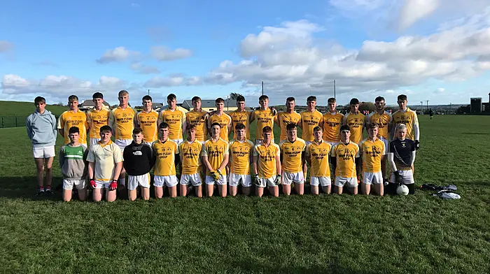 Hamilton High School in uncharted territory as footballers target Munster final Image