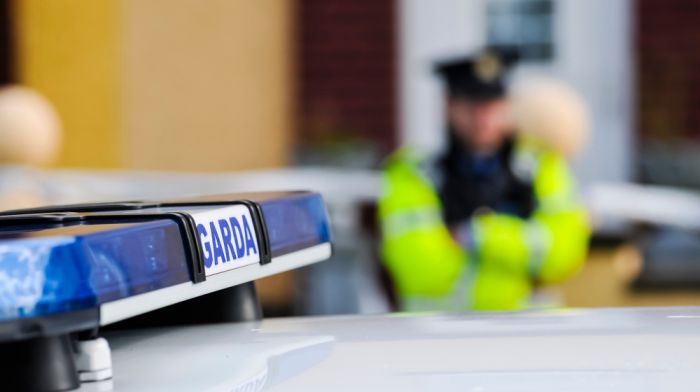 Man in his 60s dies in single vehicle incident in Dunmanway Image