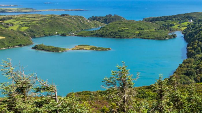 Death of swimmer at Lough Hyne near Skibbereen Image
