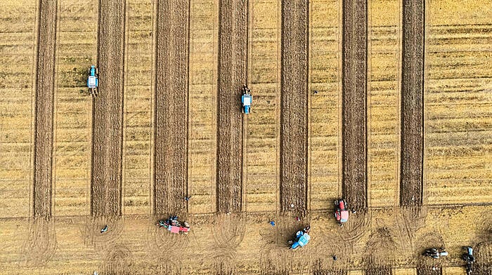 LINING OUT Ploughing on regardless Image