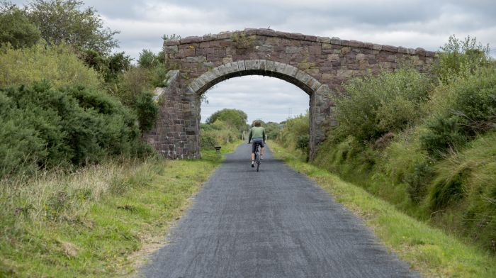 Plan for Cork city to Schull greenway Image
