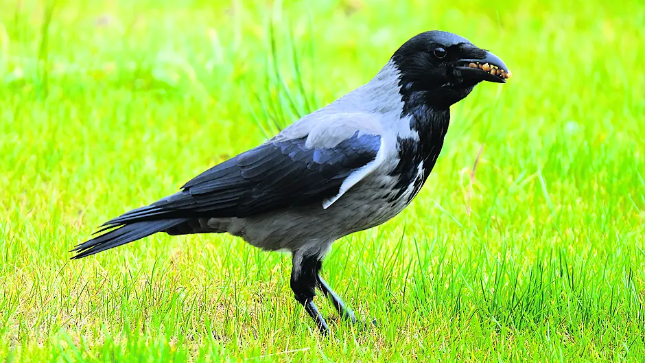 Reader’s Picture of the Week Image Reader’s Picture of the Week Image