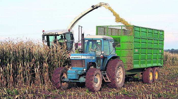 FARM CLASSICS: A big player in the high horsepower Image