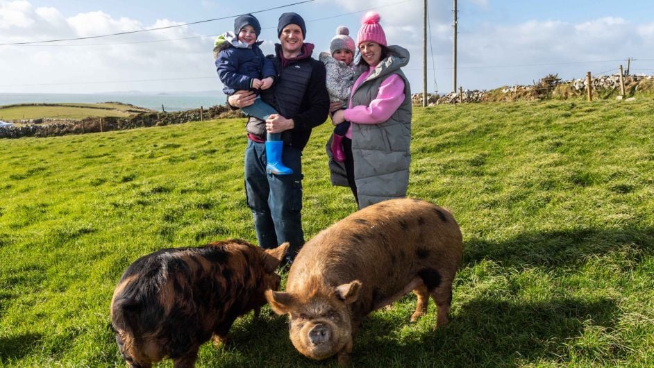 Sky is the limit for Shane and KuneKune New Zealand pigs Image