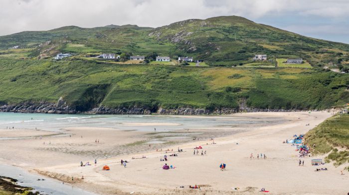 Barleycove among beaches suffering from dog poo Image