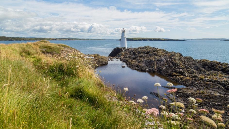 Great West Cork sea swimming spots | Islands edition Image