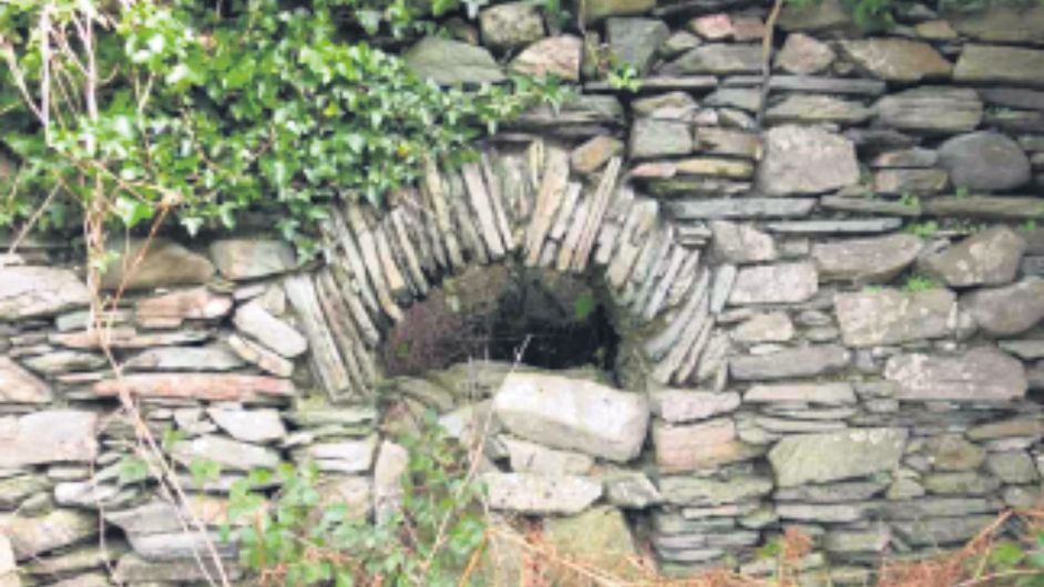 Call for Lough Hyne to be made ‘test case’ on access Image