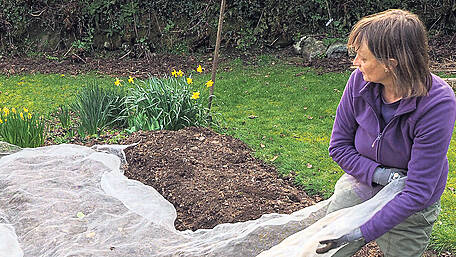 GARDENING: Take advantage of fine days Image