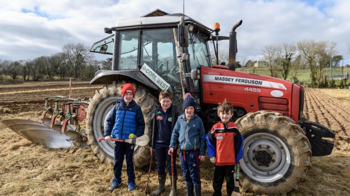 Paddy Dineen, Tom Connolly,  Bill Dineen, Timoleague and Andrew Collins, Innishannon enjoying Timoleague ploughing match