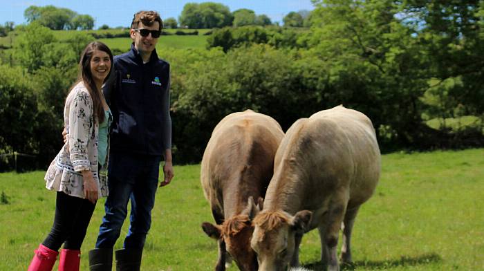 Kate ensures husband Denis’ legacy lives on with charity cattle auction Image