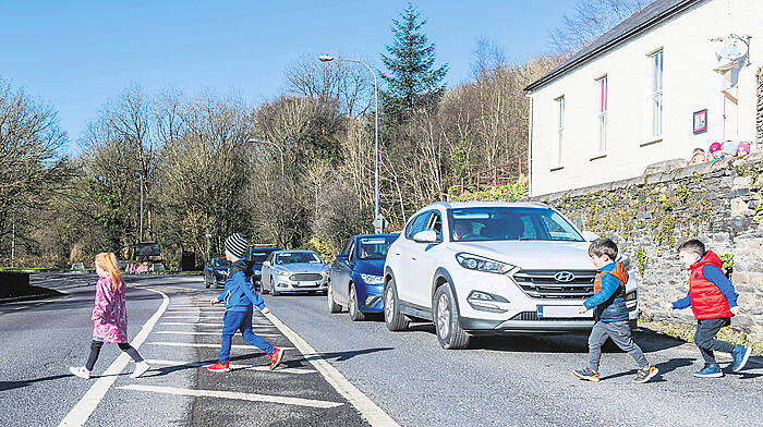 Speeding drivers posing a danger to Innishannon Image