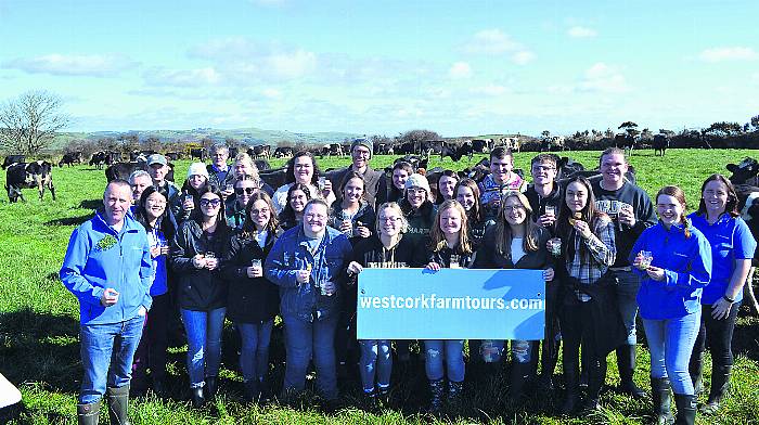 Indiana students help West Cork Farm Tours get back into action Image