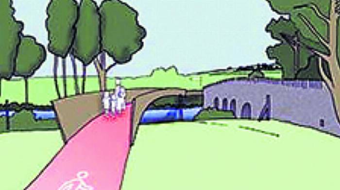 Greens want ‘unspent funds’ used on new pedestrian bridge for Belgooly Image