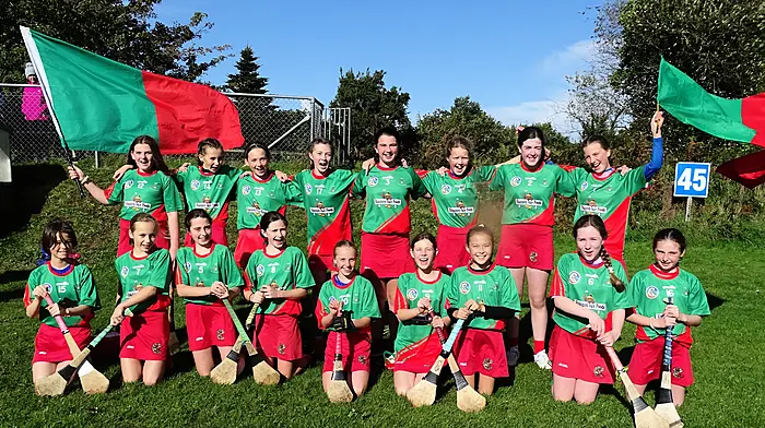 Great win for Clon camogie Image