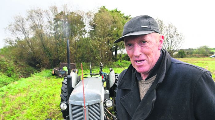 John Wolfe at Clonakilty ploughing match . 
(Photo: Denis Boyle)