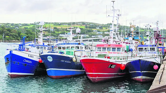Getting 54 decommission requests from fishers is not ‘success’ – Collins Image