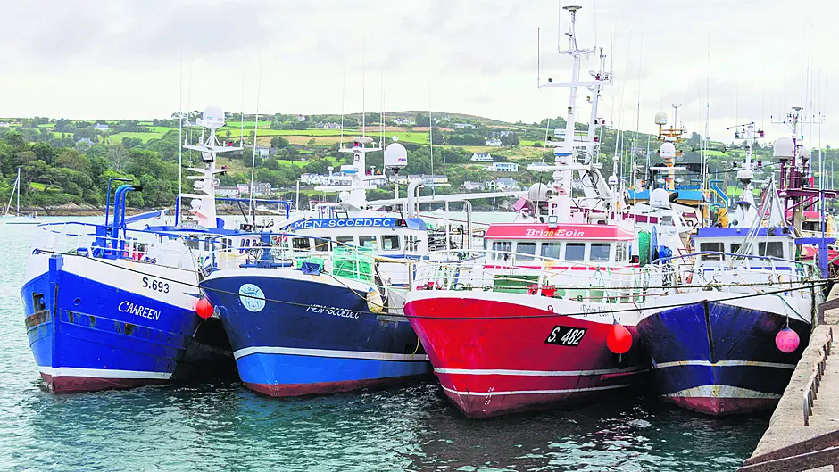 Getting 54 decommission requests from fishers is not ‘success’ – Collins Image