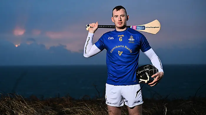 Cork football return not on the cards for dual star Cahalane Image