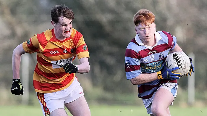 Impressive Ibane win superb West Cork final Image