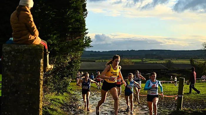 Everard storms to national novice cross-country glory Image