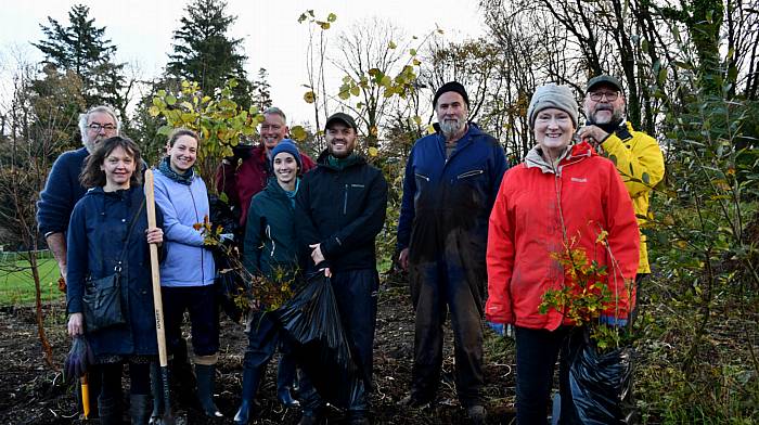 Friends of Myross Wood Volunteers who over the weekend helped replant a new oak woodland as part of the CECAS Atlantic Rainforest Restoration project included are,
Kay Coakley, Willem Montagne, Roberta Cappieri, Rory Doyle, Sara Fissolo, Padraig Desmond, Mark Robins (team leader), Jo Good and Graham Mills. Photo: Anne Minihane.