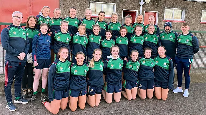 Seven-goal Éire Óg too strong for Clonakilty Image