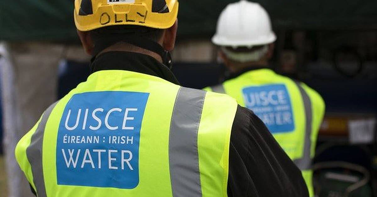 The only improvement to Irish Water was axing of its 'toxic' name says Cllr - Vimarsana News