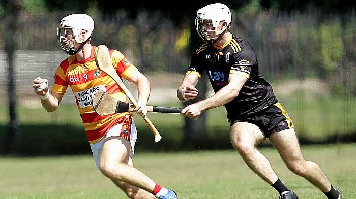 Newcestown and Courceys hurlers to battle in Senior A Image