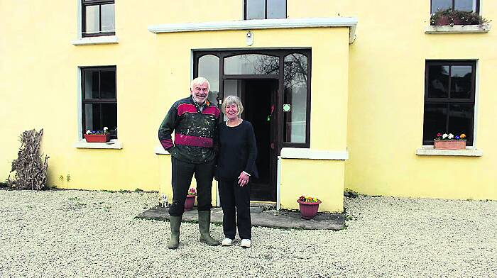 West Cork Creates summer exhibition opens in Union Hall Image