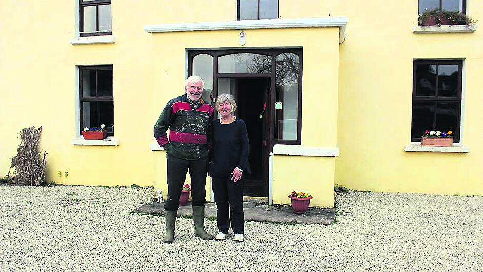 West Cork Creates summer exhibition opens in Union Hall Image