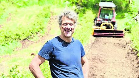 Doctor finds his ‘super’ berries are thriving on a West Cork mountain Image