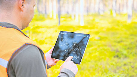 FDC: Getting down deep to the roots of forestry taxation benefits Image