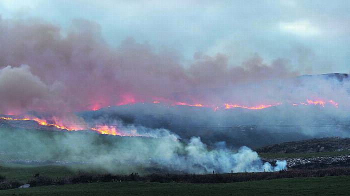 Gorse fires have outlived their usefulness – so ban them now Image