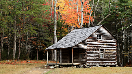 Log cabin policy needed to help housing pressure Image