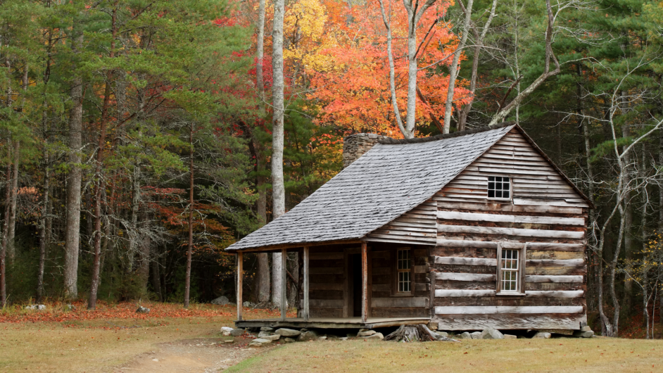 Log cabin policy needed to help housing pressure Image