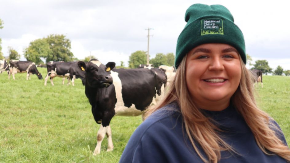 Dairy farming in Ireland Image