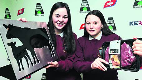 Local schools in the running to be presented with Angus calves Image
