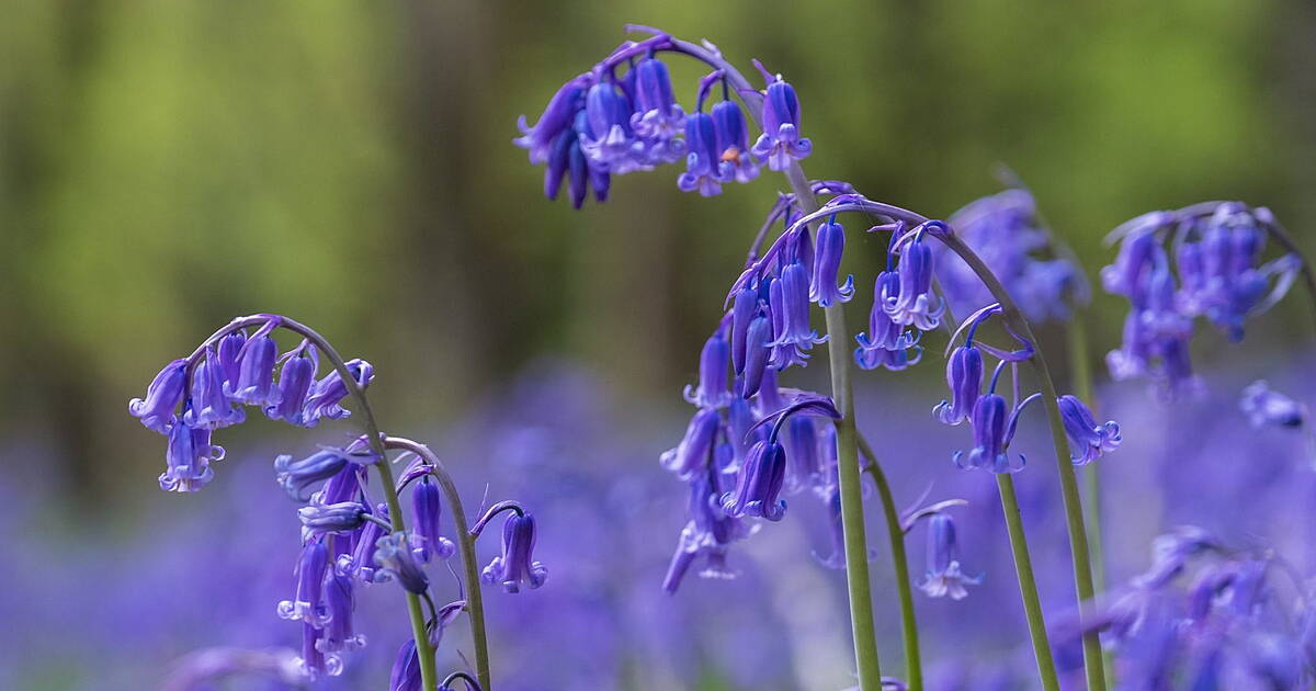 Five things to do in West Cork this weekend - Vimarsana News